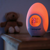 (TM) Egg Room Thermometer