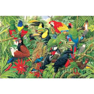 Grovely Jigsaws James Hamilton Grovely Puzzles Birds Of Costa Rica 1000 Piece Jigsaw Puzzle