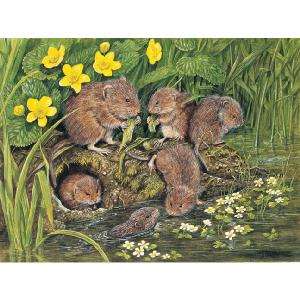 Grovely Jigsaws James Hamilton Grovely Puzzles Water Voles 1000 Piece Jigsaw Puzzle