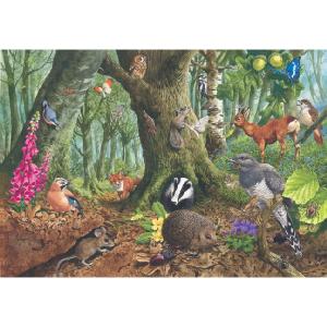 James Hamilton Grovely Puzzles Woodland Sanctuary 1000 Piece Jigsaw Puzzle