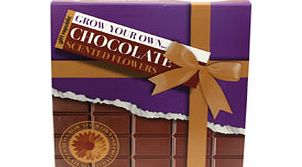 Grow Your Own Chocolate Scented Flowers