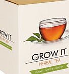 Grow Your Own Herbal Tea