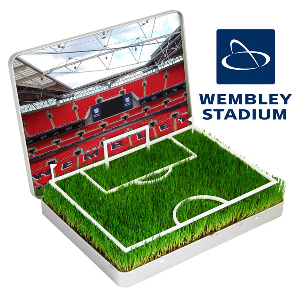grow your own Mini Football Pitch Wembley