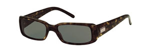 Gucci 2450s sunglasses