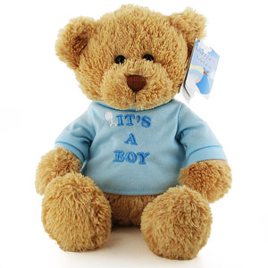 Gund Its a Boy Teddy Bear