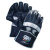 606 Wicket Keeping Gloves (5207)