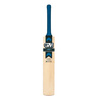 Apex DXM 606 Junior Cricket Bat