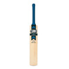 Apex DXM 808 5 Star Cricket Bat