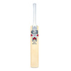 Flare DXM 303 Junior Cricket Bat
