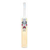 Flare DXM 808 5 Star Junior Cricket