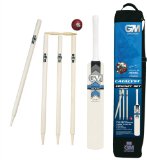 Gunn & Moore Catalyst Hit4 Size Cricket set Size 6