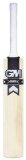 Gun and Moore Icon DMX 606 Now English Willow Cricket Bat Size 6
