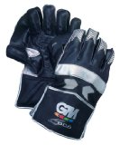 Gunn & Moore GUNN and MOORE 606 Wicket Keeping Gloves , YOUTH