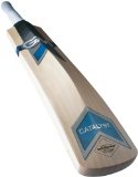 Gunn and Moore Catalyst 101 Cricket Bat - Size 1