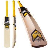 Gunn and Moore Hero DMX 606 Cricket Bat