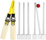 Gunn & Moore Hero DXM Pro Plastic Cricket set Size 6