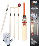 Team Gun and Moore Cricket Set Size 4