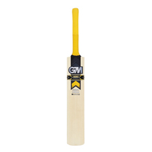 Gunn and Moore Hero DXM 303 Cricket Bat