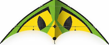 Gunther Monster Loop Kite