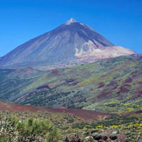 Half Day Mount Teide Tour - From Tenerife