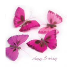 - Pink Butterflies Card