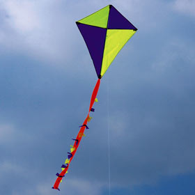 Harlequin Kite