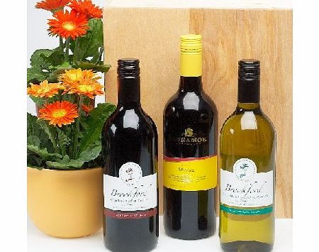 Hay Hampers Australian wine trio in wooden box - Three bottle wine gift - white and two red wines - Free Delivery