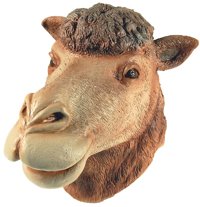 head Mask - Rubber Camel Head