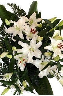 Scent White Lilies