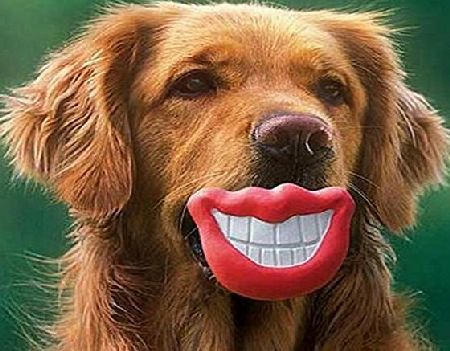 Hengsong  Funny Pet Toy Chewing Silicone/PVC Red Lip Squeak Sound Dog Toys (Red Smile)