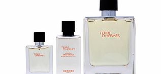 Hermes Terre DHermes Eau de Toilette Natural