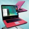 80Gb Pink Laptop
