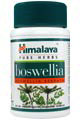 Boswellia (Shallaki)