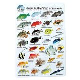 Hinchcliff Water proof Fish Species Guide to reef fish of the Australia