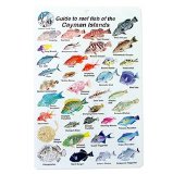 Water proof Fish Species Guide to reef fish of the Cayman Islands
