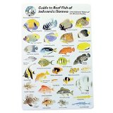 Hinchcliff Water proof Fish Species Guide to reef fish of the Indonesia