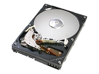 CinemaStar 7K160 - hard drive - 160 GB - SATA-300