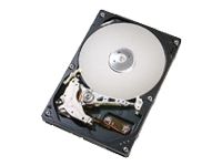 DeskStar 7K160 - hard drive - 160 GB - ATA-133