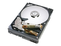 Hitachi DeskStar T7K500 - hard drive - 320 GB - SATA-300