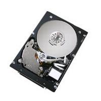Ultrastar 10K300 Hard Disk Drive 73.4GB