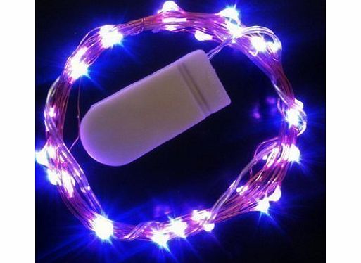 HLS 30 LED Copper Wire Battery Fairy Lights in PURPLE