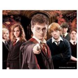HARRY POTTER and THE ORDER OF THE PHOENIX 3D PUZZLE