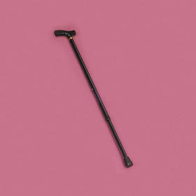 Black Adjustable Walking Stick