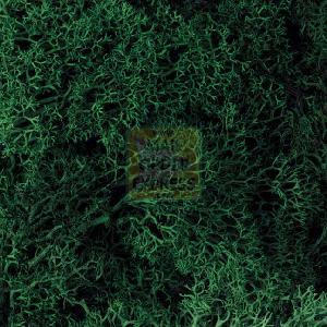 Hornby Dark Green Lichen