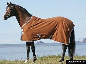 Horseware Amigo Pony Summer Sheet/Travel Rug