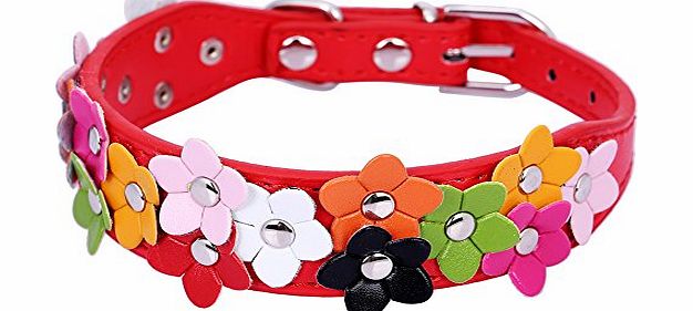 Hot Dawgs SOFT LEATHER DOG COLLAR FLOWER COLOUR PADDED MULTIPLE COLOURS (Red, Medium)