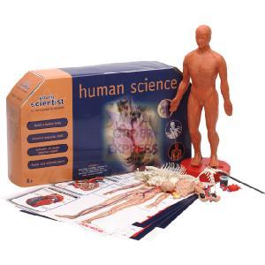 Humbrol Joustra Young Scientist Anatomic