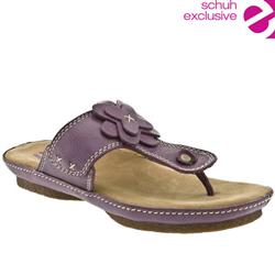 Hush Puppies Female Hermione Leather Upper in Purple