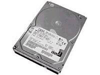 IBM 300GB Hard Disk Drive 15000rpm SAS Hot Swap