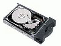 Hard drive - 73.4 GB - hot-swap - 3.5 - SAS - 15000 rpm - buffer: 8 MB - Express Seller